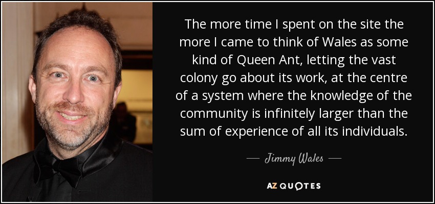 The more time I spent on the site the more I came to think of Wales as some kind of Queen Ant, letting the vast colony go about its work, at the centre of a system where the knowledge of the community is infinitely larger than the sum of experience of all its individuals. - Jimmy Wales