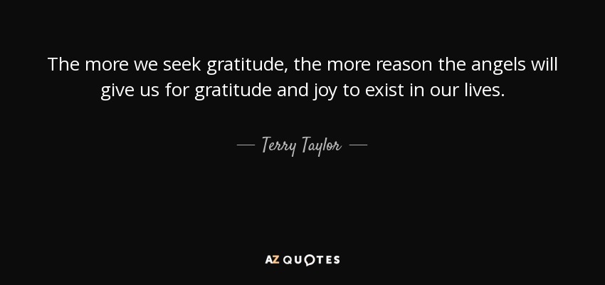 The more we seek gratitude, the more reason the angels will give us for gratitude and joy to exist in our lives. - Terry Taylor