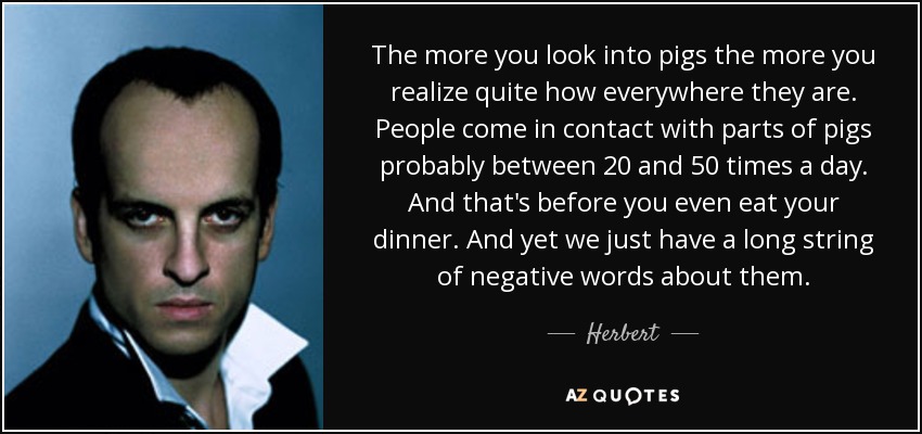 The more you look into pigs the more you realize quite how everywhere they are. People come in contact with parts of pigs probably between 20 and 50 times a day. And that's before you even eat your dinner. And yet we just have a long string of negative words about them. - Herbert