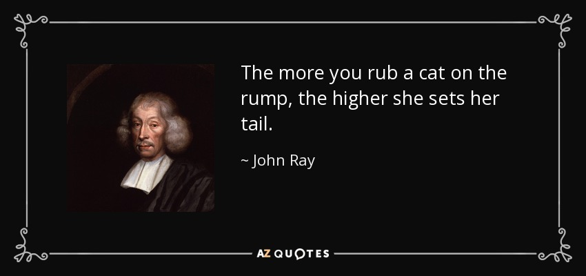 The more you rub a cat on the rump, the higher she sets her tail. - John Ray