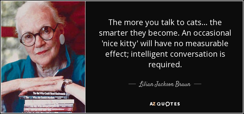 The more you talk to cats ... the smarter they become. An occasional 'nice kitty' will have no measurable effect; intelligent conversation is required. - Lilian Jackson Braun