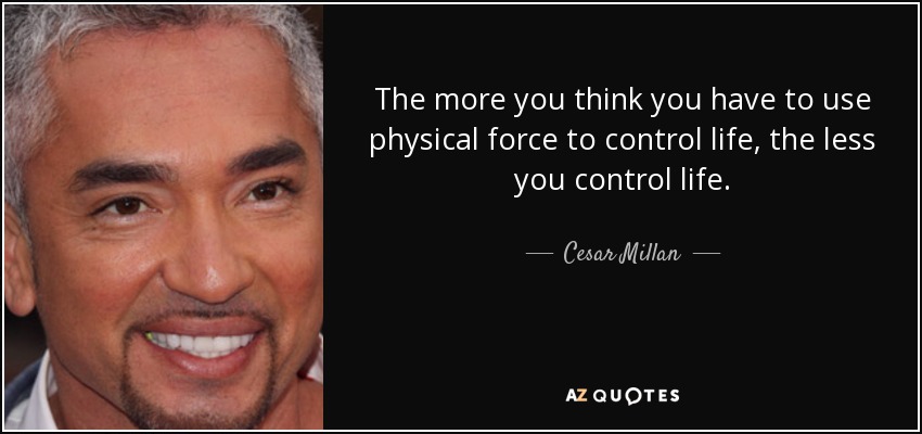 The more you think you have to use physical force to control life, the less you control life. - Cesar Millan