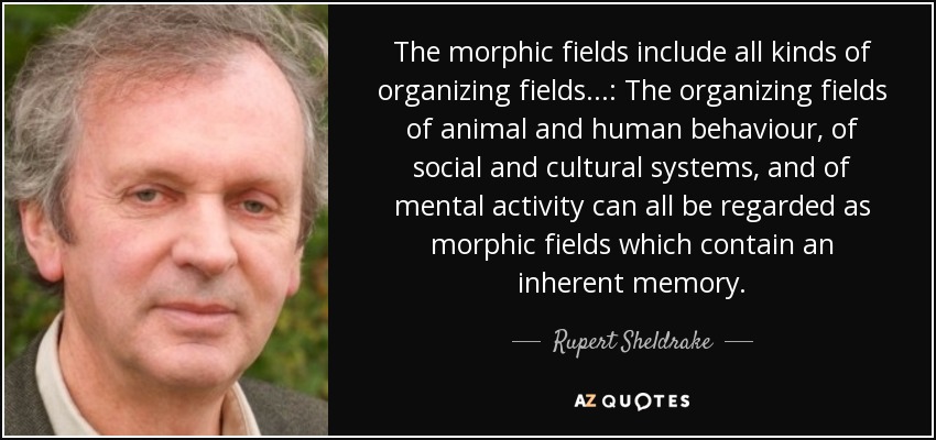 The morphic fields include all kinds of organizing fields...: The organizing fields of animal and human behaviour, of social and cultural systems, and of mental activity can all be regarded as morphic fields which contain an inherent memory. - Rupert Sheldrake