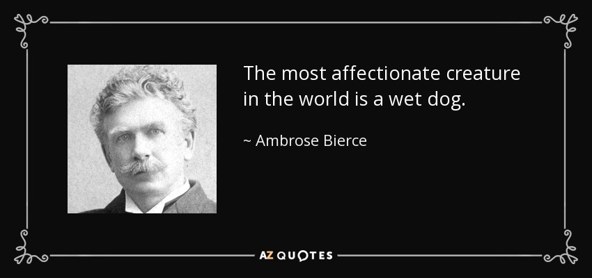 The most affectionate creature in the world is a wet dog. - Ambrose Bierce