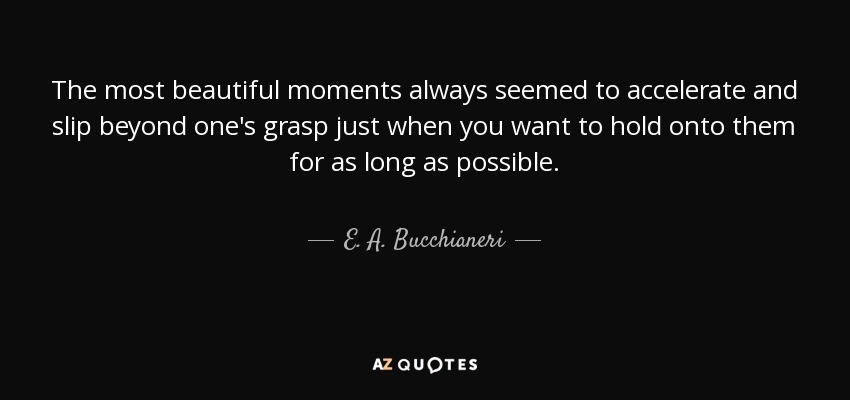 The most beautiful moments always seemed to accelerate and slip beyond one's grasp just when you want to hold onto them for as long as possible. - E. A. Bucchianeri