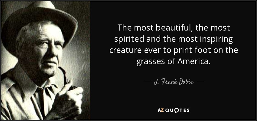 The most beautiful, the most spirited and the most inspiring creature ever to print foot on the grasses of America. - J. Frank Dobie