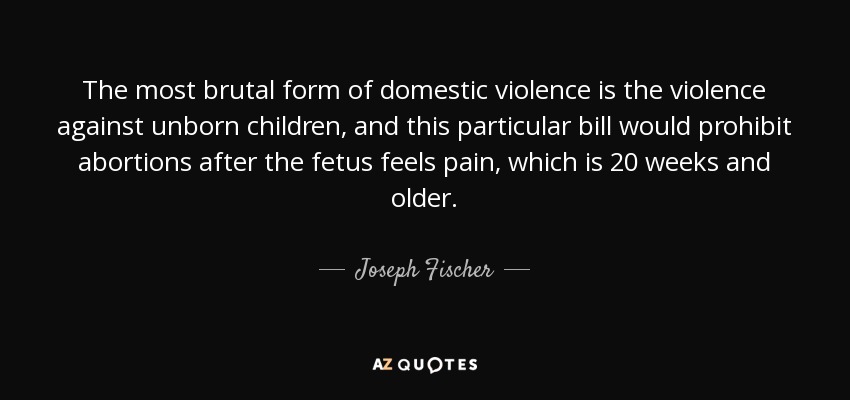 The most brutal form of domestic violence is the violence against unborn children, and this particular bill would prohibit abortions after the fetus feels pain, which is 20 weeks and older. - Joseph Fischer