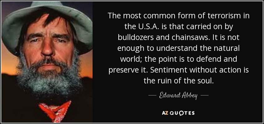 The most common form of terrorism in the U.S.A. is that carried on by bulldozers and chainsaws. It is not enough to understand the natural world; the point is to defend and preserve it. Sentiment without action is the ruin of the soul. - Edward Abbey