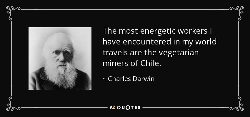 The most energetic workers I have encountered in my world travels are the vegetarian miners of Chile. - Charles Darwin