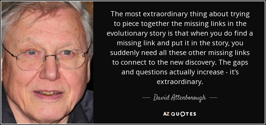 The most extraordinary thing about trying to piece together the missing links in the evolutionary story is that when you do find a missing link and put it in the story, you suddenly need all these other missing links to connect to the new discovery. The gaps and questions actually increase - it's extraordinary. - David Attenborough