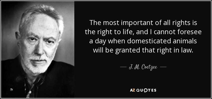 The most important of all rights is the right to life, and I cannot foresee a day when domesticated animals will be granted that right in law. - J. M. Coetzee