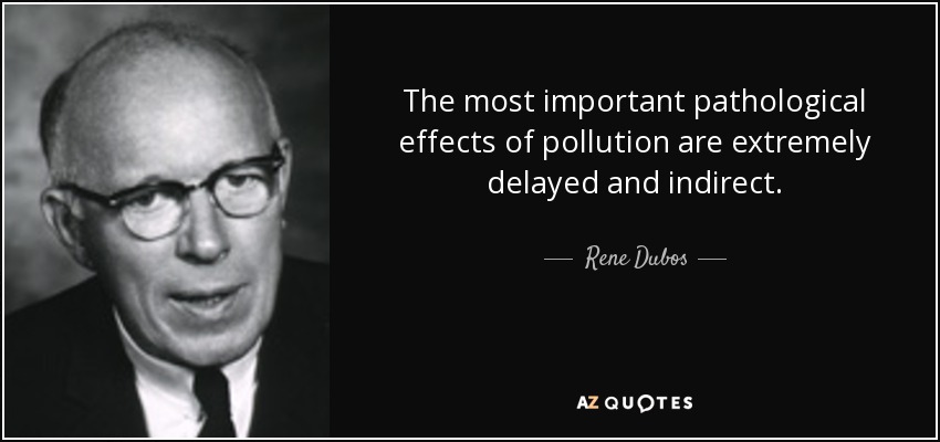 The most important pathological effects of pollution are extremely delayed and indirect. - Rene Dubos