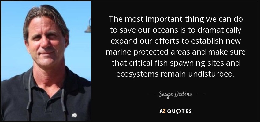 The most important thing we can do to save our oceans is to dramatically expand our efforts to establish new marine protected areas and make sure that critical fish spawning sites and ecosystems remain undisturbed. - Serge Dedina