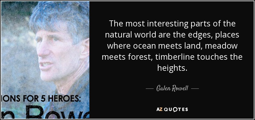 The most interesting parts of the natural world are the edges, places where ocean meets land, meadow meets forest, timberline touches the heights. - Galen Rowell