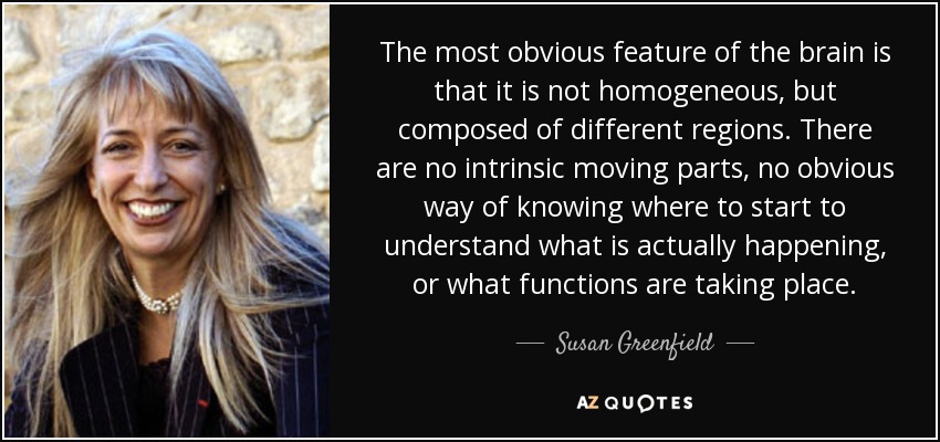 The most obvious feature of the brain is that it is not homogeneous, but composed of different regions. There are no intrinsic moving parts, no obvious way of knowing where to start to understand what is actually happening, or what functions are taking place. - Susan Greenfield, Baroness Greenfield