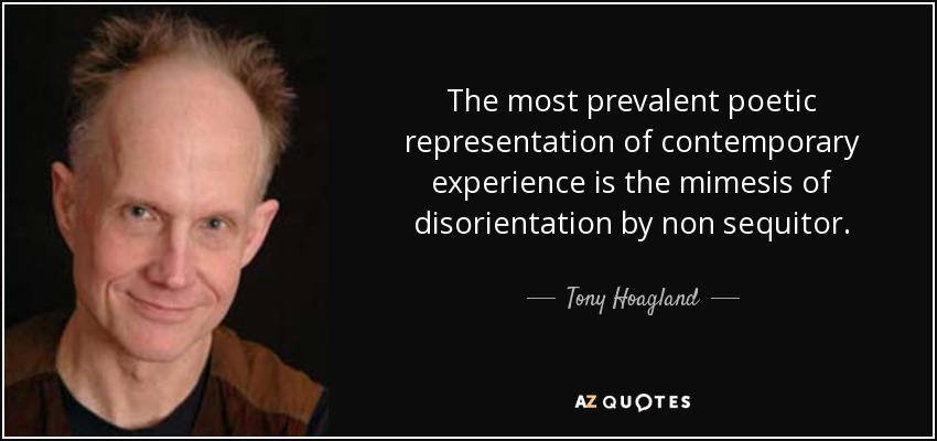 The most prevalent poetic representation of contemporary experience is the mimesis of disorientation by non sequitor. - Tony Hoagland