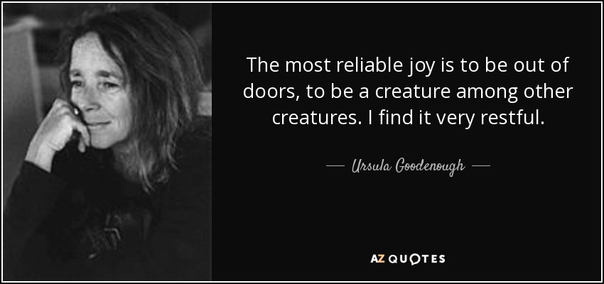 The most reliable joy is to be out of doors, to be a creature among other creatures. I find it very restful. - Ursula Goodenough