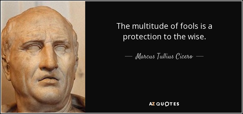 The multitude of fools is a protection to the wise. - Marcus Tullius Cicero