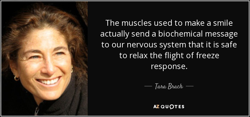 The muscles used to make a smile actually send a biochemical message to our nervous system that it is safe to relax the flight of freeze response. - Tara Brach