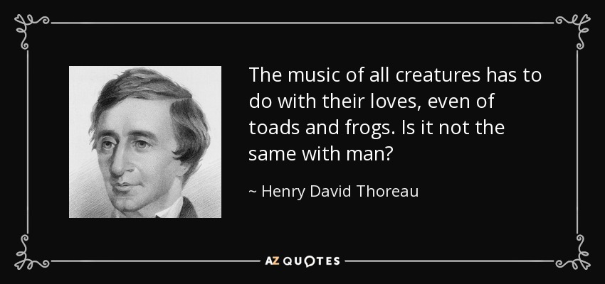 The music of all creatures has to do with their loves, even of toads and frogs. Is it not the same with man? - Henry David Thoreau