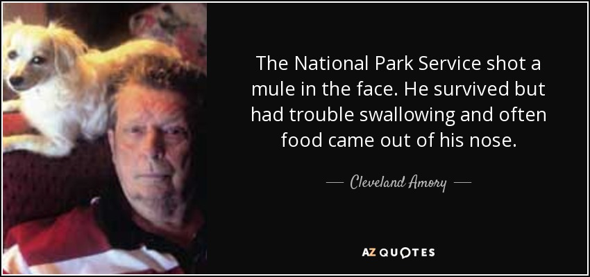 The National Park Service shot a mule in the face. He survived but had trouble swallowing and often food came out of his nose. - Cleveland Amory