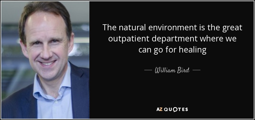 The natural environment is the great outpatient department where we can go for healing - William Bird