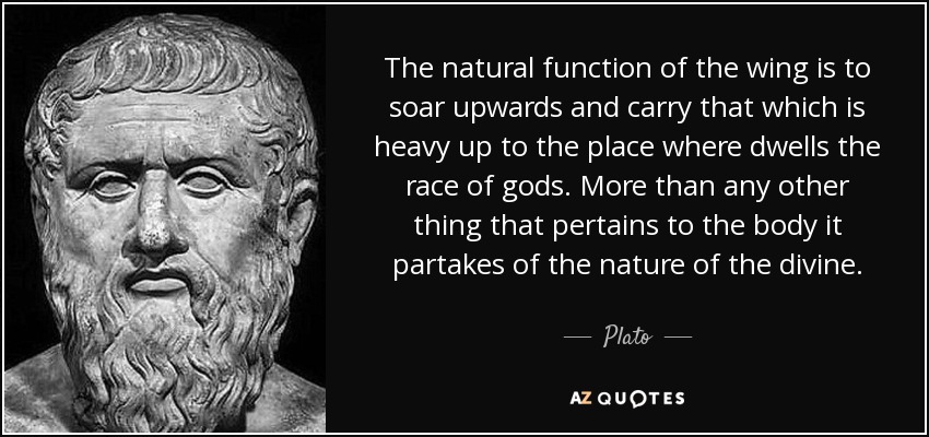 The natural function of the wing is to soar upwards and carry that which is heavy up to the place where dwells the race of gods. More than any other thing that pertains to the body it partakes of the nature of the divine. - Plato
