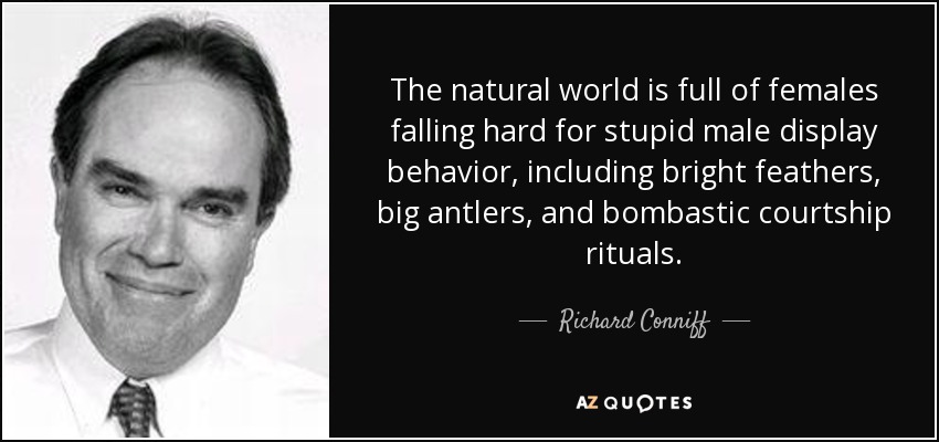 The natural world is full of females falling hard for stupid male display behavior, including bright feathers, big antlers, and bombastic courtship rituals. - Richard Conniff