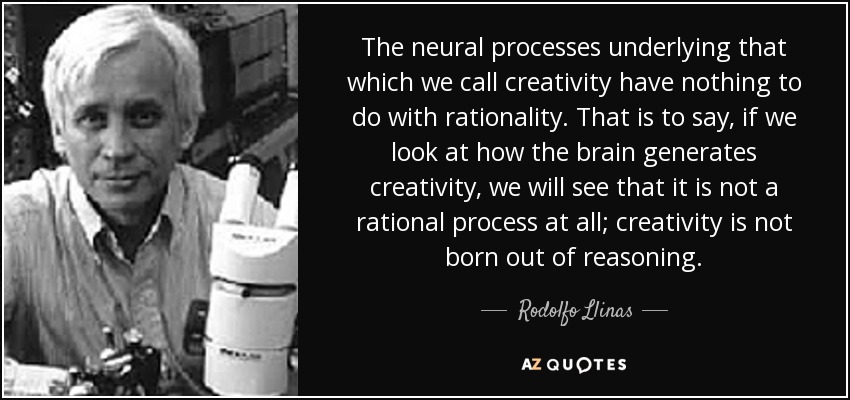 The neural processes underlying that which we call creativity have nothing to do with rationality. That is to say, if we look at how the brain generates creativity, we will see that it is not a rational process at all; creativity is not born out of reasoning. - Rodolfo Llinas