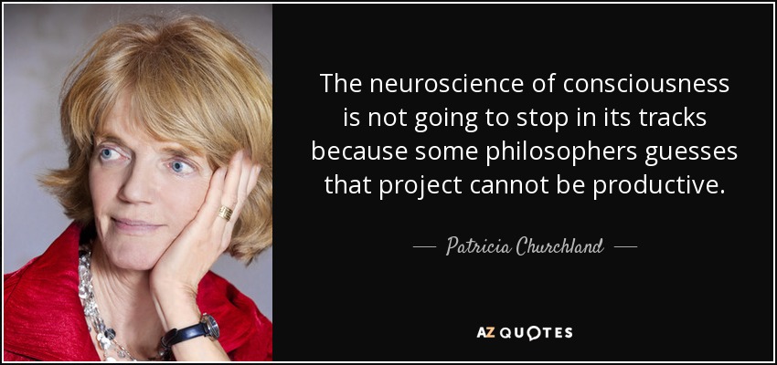 The neuroscience of consciousness is not going to stop in its tracks because some philosophers guesses that project cannot be productive. - Patricia Churchland