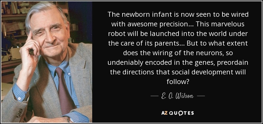 The newborn infant is now seen to be wired with awesome precision... This marvelous robot will be launched into the world under the care of its parents... But to what extent does the wiring of the neurons, so undeniably encoded in the genes, preordain the directions that social development will follow? - E. O. Wilson