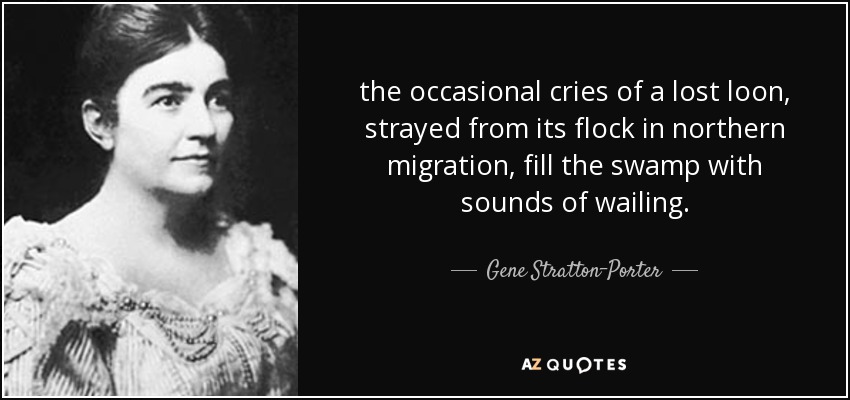the occasional cries of a lost loon, strayed from its flock in northern migration, fill the swamp with sounds of wailing. - Gene Stratton-Porter