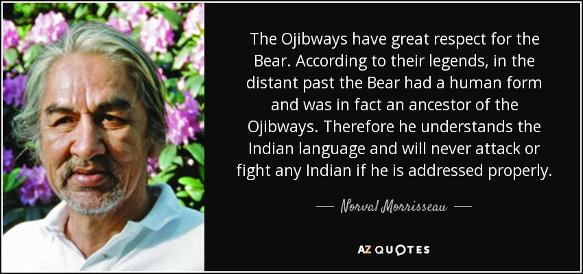 The Ojibways have great respect for the Bear. According to their legends, in the distant past the Bear had a human form and was in fact an ancestor of the Ojibways. Therefore he understands the Indian language and will never attack or fight any Indian if he is addressed properly. - Norval Morrisseau