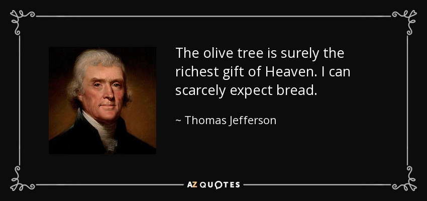 The olive tree is surely the richest gift of Heaven. I can scarcely expect bread. - Thomas Jefferson