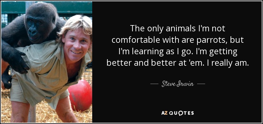 The only animals I'm not comfortable with are parrots, but I'm learning as I go. I'm getting better and better at 'em. I really am. - Steve Irwin