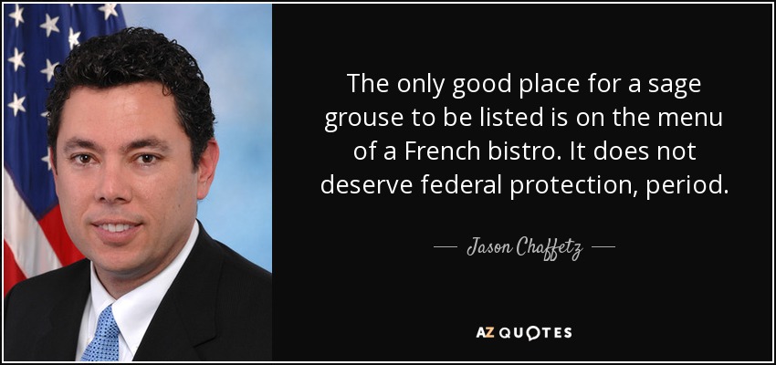 The only good place for a sage grouse to be listed is on the menu of a French bistro. It does not deserve federal protection, period. - Jason Chaffetz