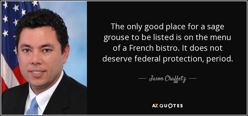 The only good place for a sage grouse to be listed is on the menu of a French bistro. It does not deserve federal protection, period. - Jason Chaffetz