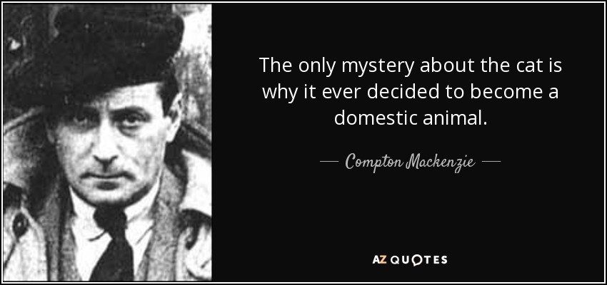 The only mystery about the cat is why it ever decided to become a domestic animal. - Compton Mackenzie