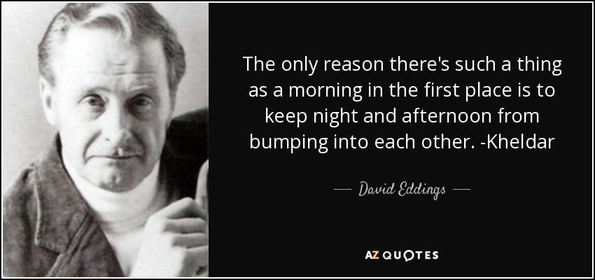 The only reason there's such a thing as a morning in the first place is to keep night and afternoon from bumping into each other. -Kheldar - David Eddings
