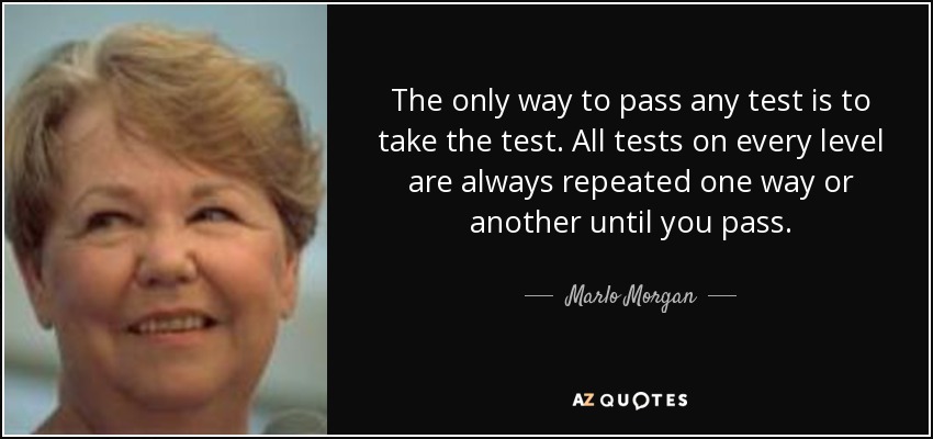 The only way to pass any test is to take the test. All tests on every level are always repeated one way or another until you pass. - Marlo Morgan