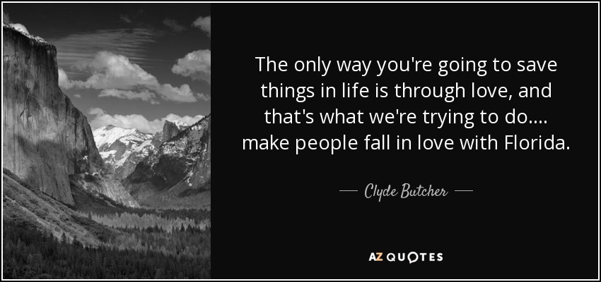 The only way you're going to save things in life is through love, and that's what we're trying to do .... make people fall in love with Florida. - Clyde Butcher