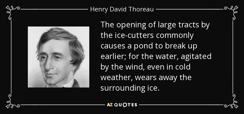 The opening of large tracts by the ice-cutters commonly causes a pond to break up earlier; for the water, agitated by the wind, even in cold weather, wears away the surrounding ice. - Henry David Thoreau