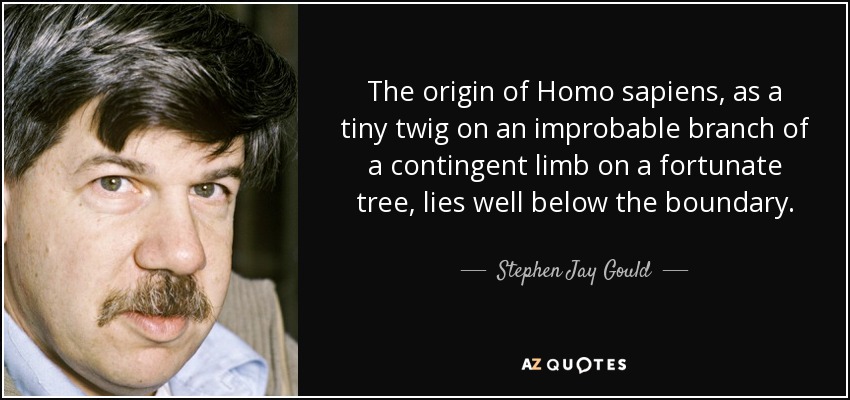 The origin of Homo sapiens, as a tiny twig on an improbable branch of a contingent limb on a fortunate tree, lies well below the boundary. - Stephen Jay Gould