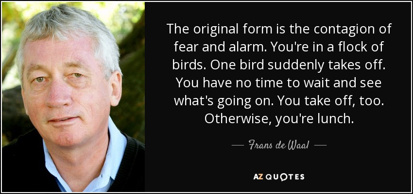The original form is the contagion of fear and alarm. You're in a flock of birds. One bird suddenly takes off. You have no time to wait and see what's going on. You take off, too. Otherwise, you're lunch. - Frans de Waal