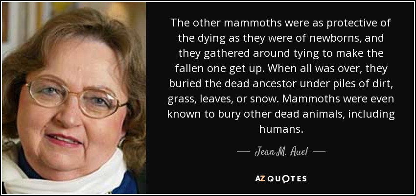 The other mammoths were as protective of the dying as they were of newborns, and they gathered around tying to make the fallen one get up. When all was over, they buried the dead ancestor under piles of dirt, grass, leaves, or snow. Mammoths were even known to bury other dead animals, including humans. - Jean M. Auel