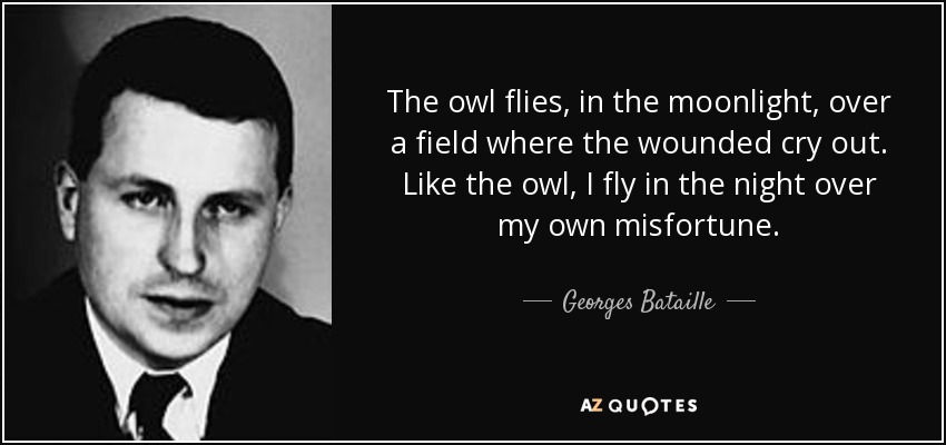 The owl flies, in the moonlight, over a field where the wounded cry out. Like the owl, I fly in the night over my own misfortune. - Georges Bataille