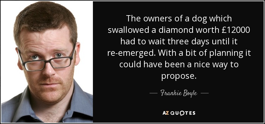 The owners of a dog which swallowed a diamond worth £12000 had to wait three days until it re-emerged. With a bit of planning it could have been a nice way to propose. - Frankie Boyle