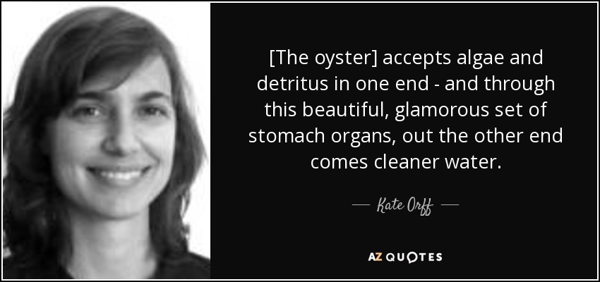 [The oyster] accepts algae and detritus in one end - and through this beautiful, glamorous set of stomach organs, out the other end comes cleaner water. - Kate Orff
