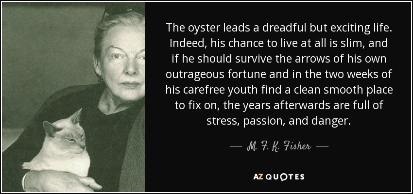 The oyster leads a dreadful but exciting life. Indeed, his chance to live at all is slim, and if he should survive the arrows of his own outrageous fortune and in the two weeks of his carefree youth find a clean smooth place to fix on, the years afterwards are full of stress, passion, and danger. - M. F. K. Fisher