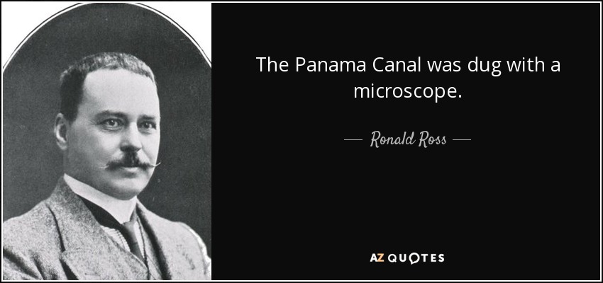 The Panama Canal was dug with a microscope. - Ronald Ross